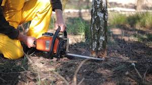 Best Commercial Tree Services  in Omaha, TX