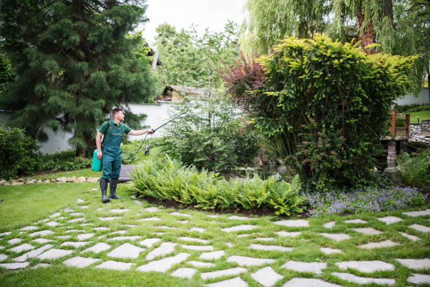 Best Root Management and Removal  in Omaha, TX