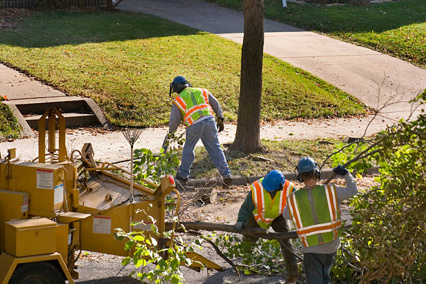 Best Lot and Land Clearing  in Omaha, TX