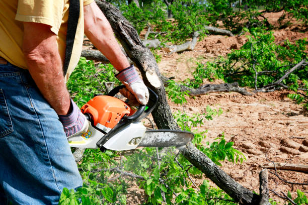 Best Aeration Services  in Omaha, TX